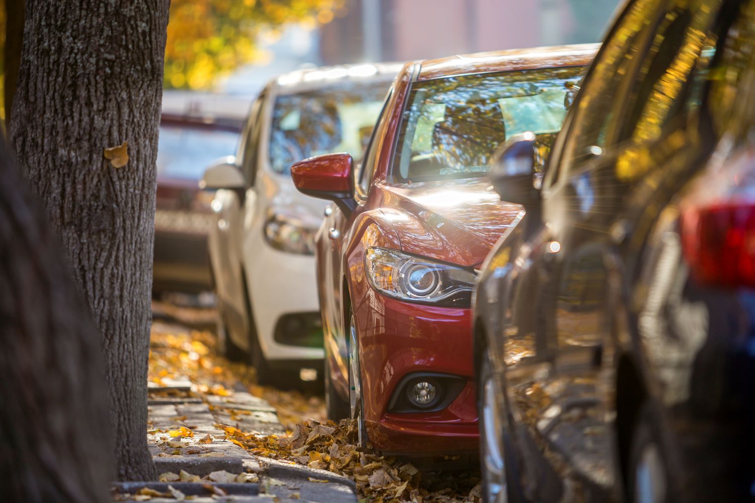 Mastering the Art of Safe Parking: Tips and Techniques
